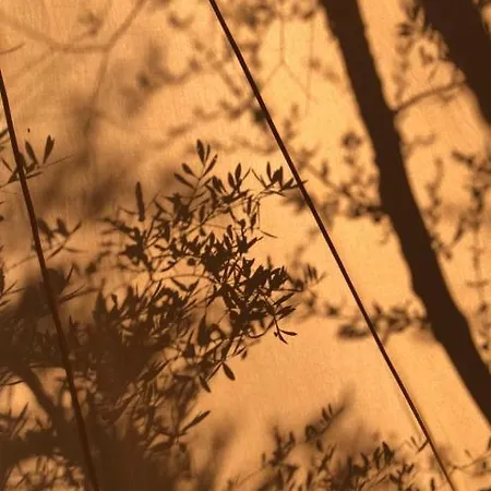 Tendu Deluxe Роскошный шатер Chiusanico