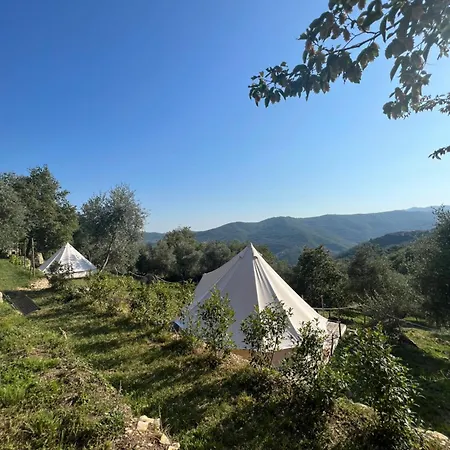 Tendu Deluxe Chiusanico