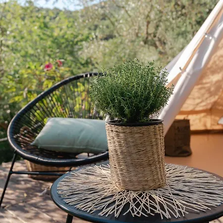 Tendu Deluxe Luxury tent *